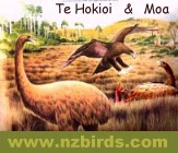 Te Hokioi attacking Moa