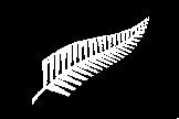 Silver fern